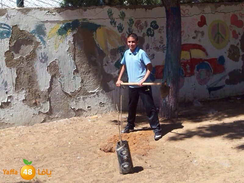 ashjar okhowa (9).jpg